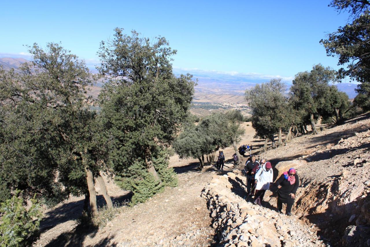 Gite Skoura Caid Bou Malla Εξωτερικό φωτογραφία