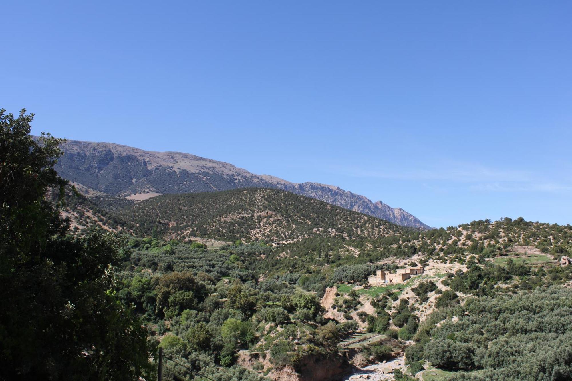 Gite Skoura Caid Bou Malla Εξωτερικό φωτογραφία
