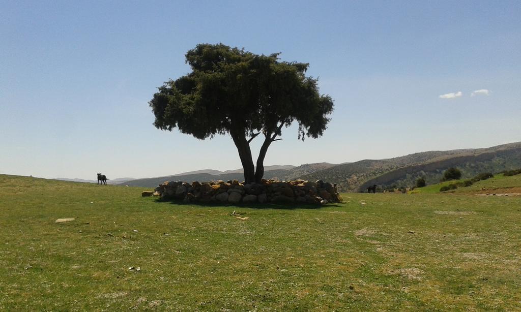 Gite Skoura Caid Bou Malla Εξωτερικό φωτογραφία